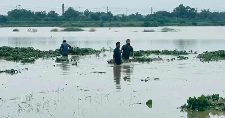 ডুবে গেছে ফসলের মাঠ